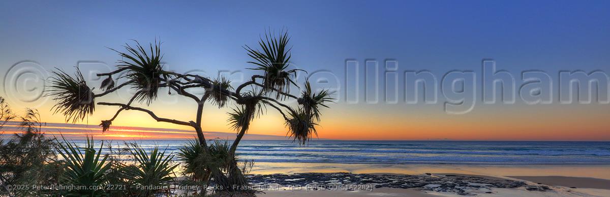 Peter Bellingham Photography Pandanus - Yidney Rocks - Fraser Island - QLD (PB5D 00 51A2282)